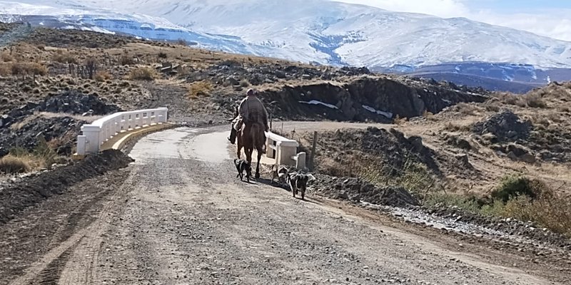 02-neuquen-camino-turismo-patagonia