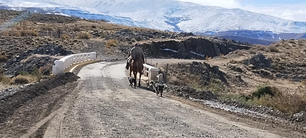 02-neuquen-camino-turismo-patagonia