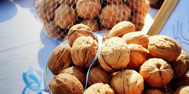 02-neuquen-productores-venta-nueces