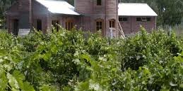 04-Bodega-Chos Malal-vino-Neuquen-Patagonia