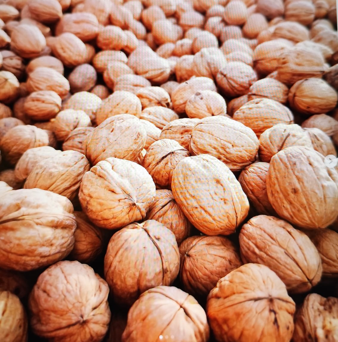 Exportación de nueces: Neuquén alcanza las 60 toneladas