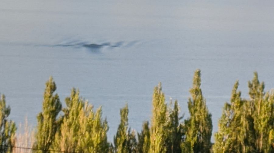 Nahuelito: El enigma de las profundidades patagónicas